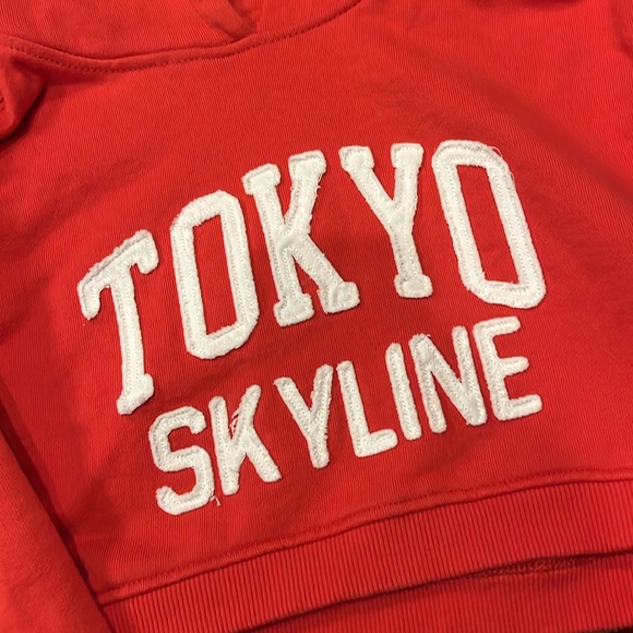 ZARA Embroidered Cropped Hoodie - Picture 2 of 8